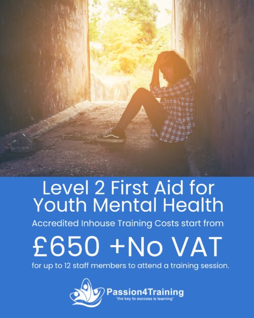 Level 2 First Aid for Youth Mental Health